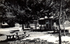 Postcards - 1950's: Corey Cove - 1953